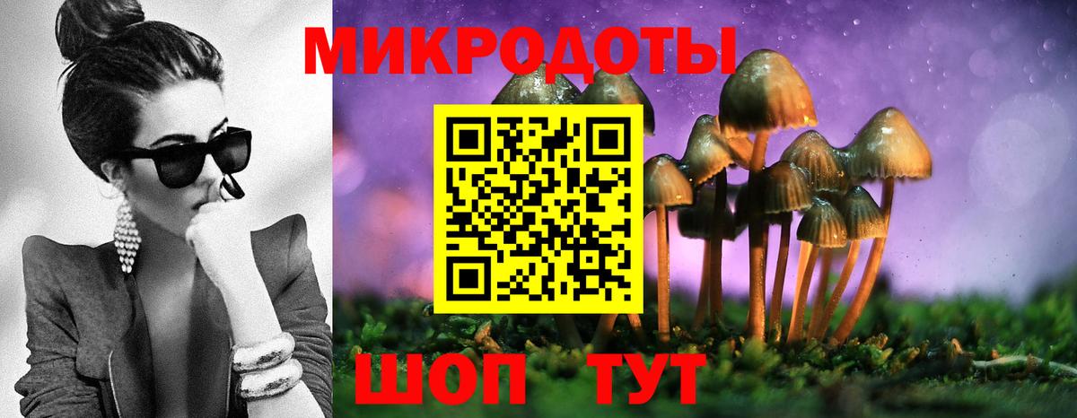 Славгород  Псилоцибиновые грибы GOLDEN TEACHER  Вход с VPN 